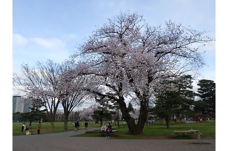 武蔵野中央公園_2