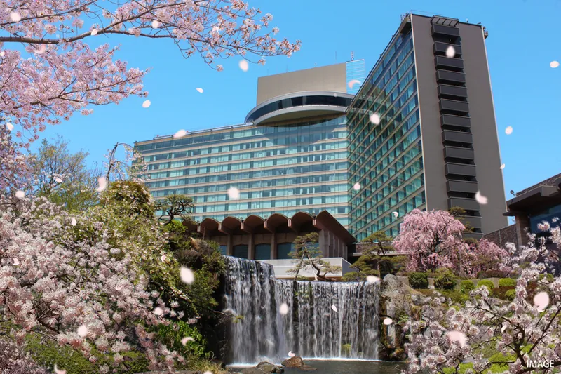 ホテルニューオータニ　日本庭園の桜