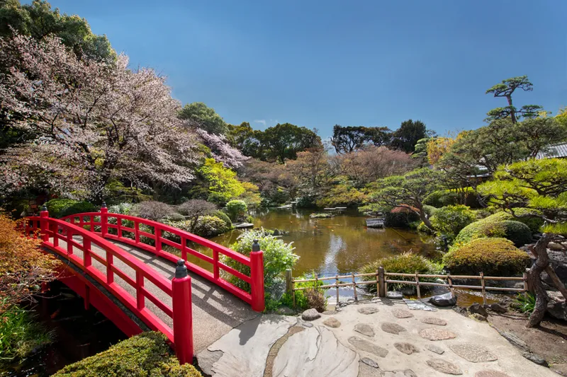 ホテルニューオータニ　日本庭園の桜