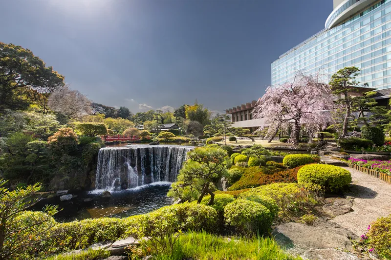 ホテルニューオータニ　日本庭園の桜