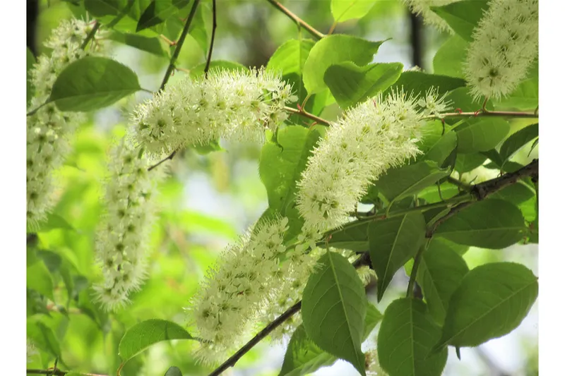 大泉中央公園_3