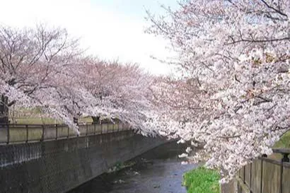 祖師谷公園_2