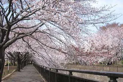 祖師谷公園_4