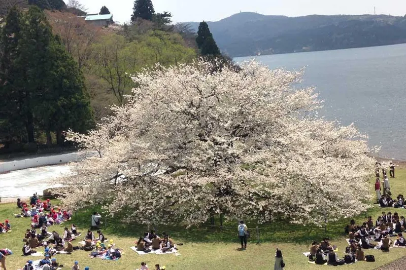 箱根園_1