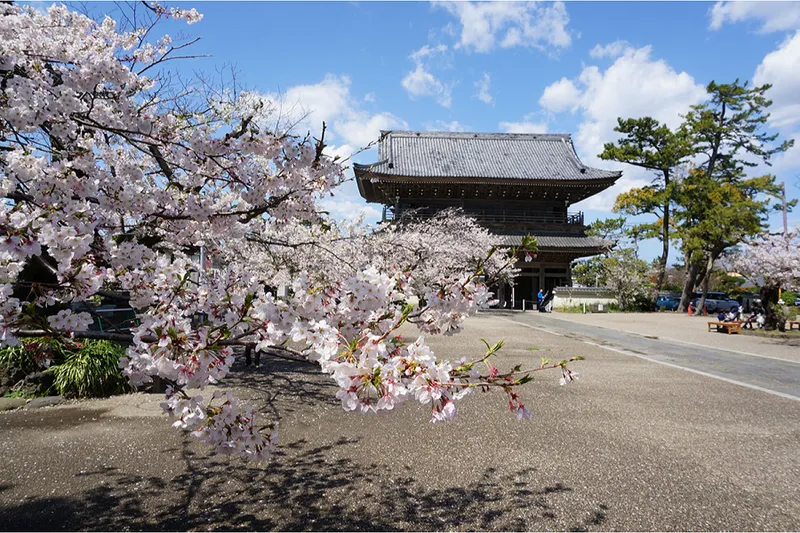 大本山光明寺_2