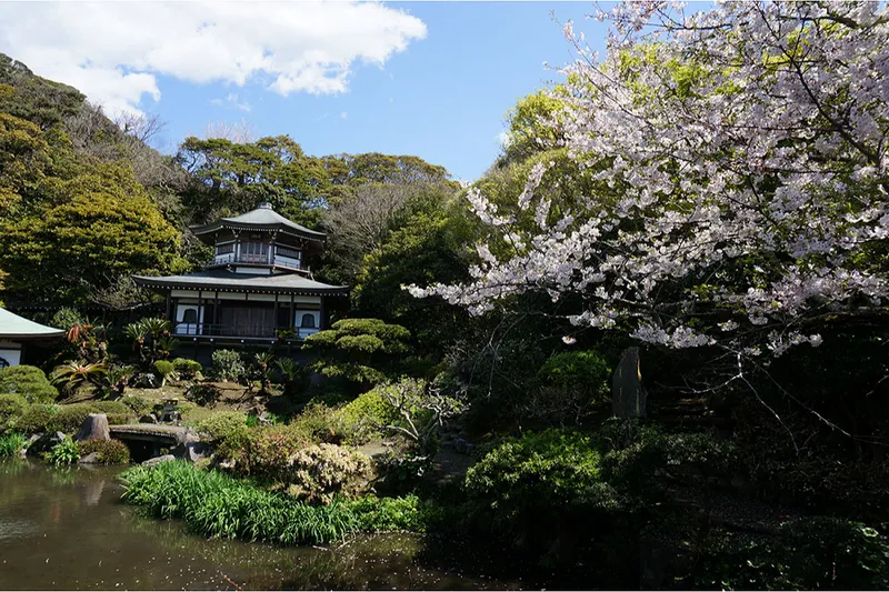 大本山光明寺_3