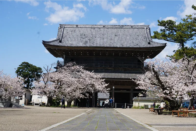 大本山光明寺_5