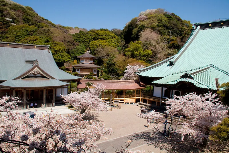 大本山光明寺_6