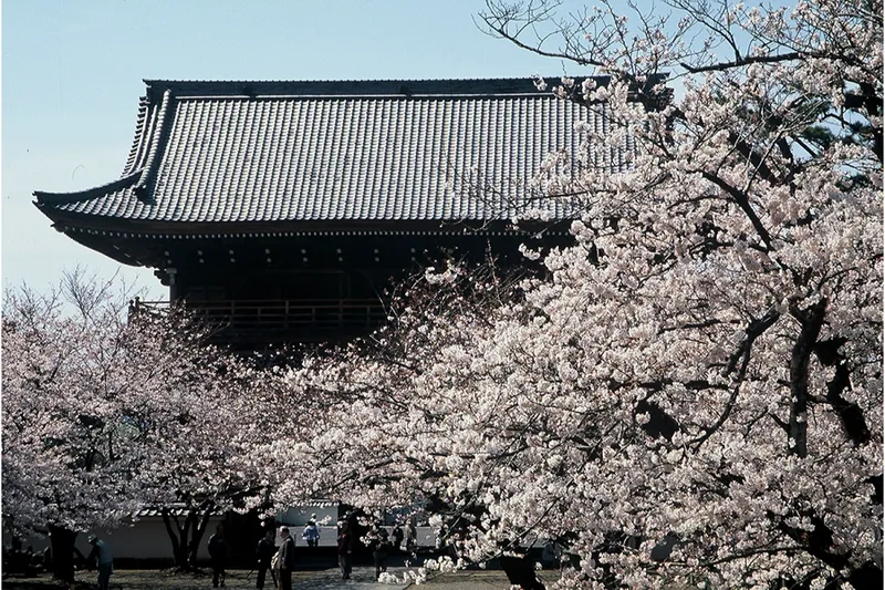 大本山光明寺_7