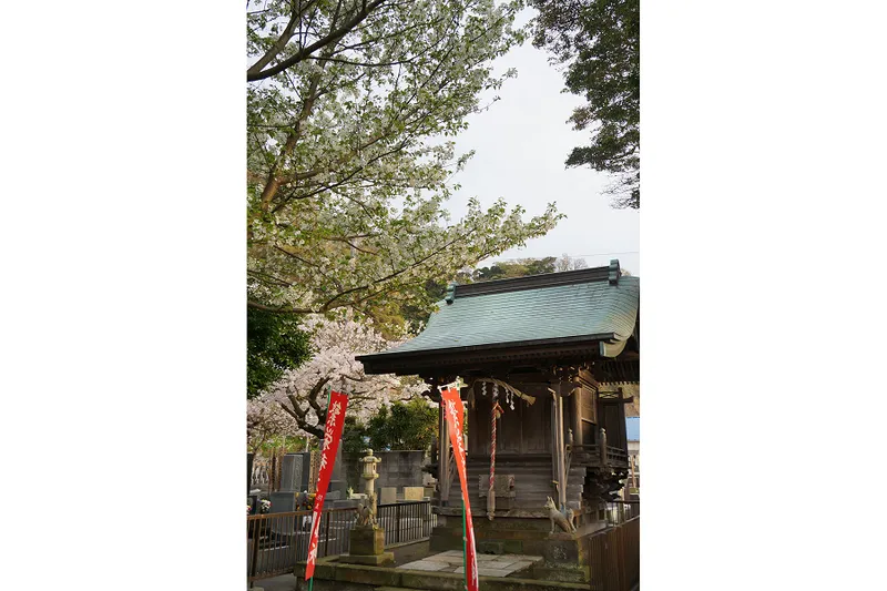 大本山光明寺_8