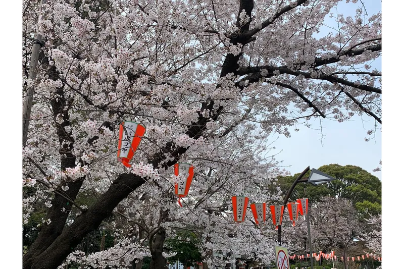 上野恩賜公園（上野公園）_2