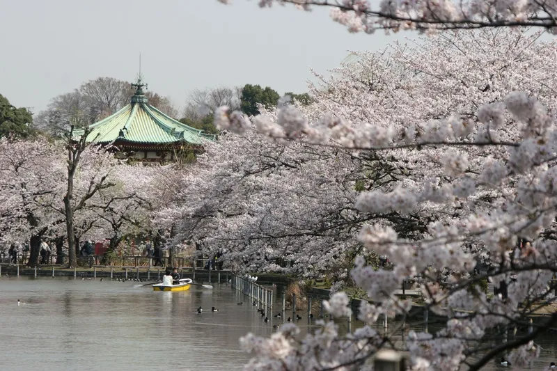 上野恩賜公園（上野公園）_3