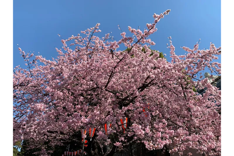 上野恩賜公園（上野公園）