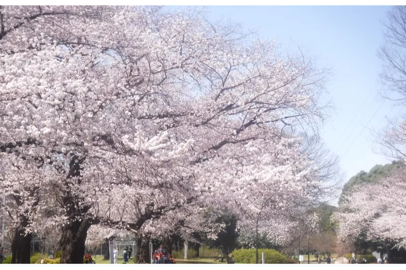 駒沢オリンピック公園