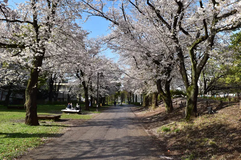 浮間公園_2