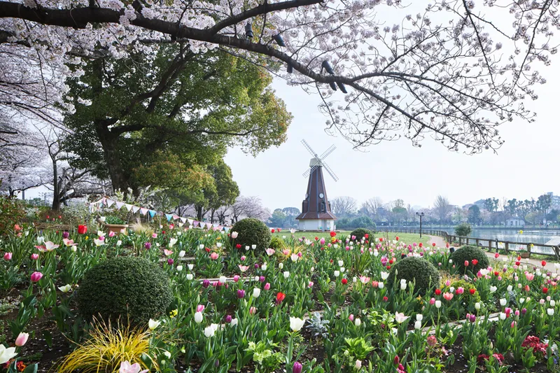 浮間公園_3
