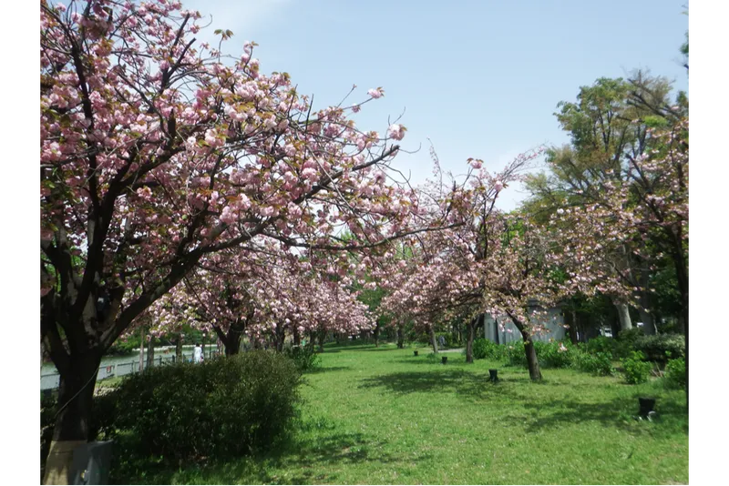 浮間公園_4
