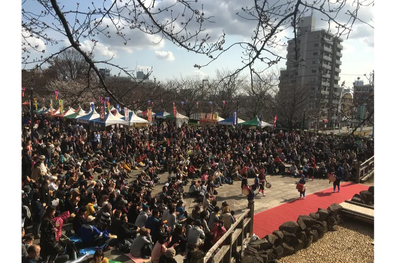 飛鳥山公園の桜・花見情報_1