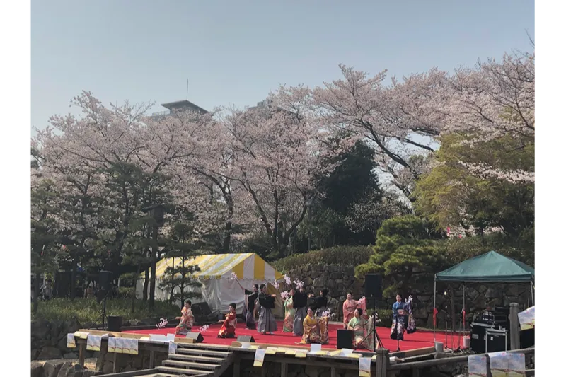 飛鳥山公園の桜・花見情報_2