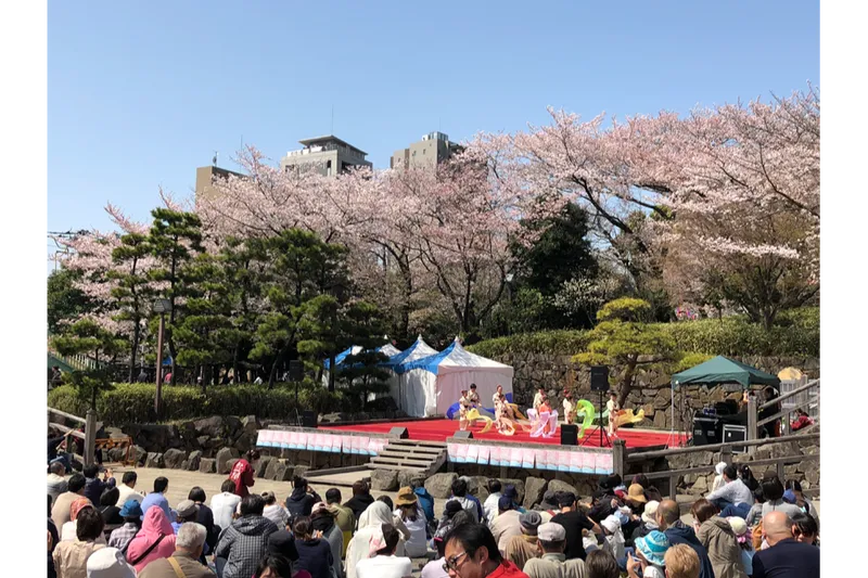 飛鳥山公園の桜・花見情報_3
