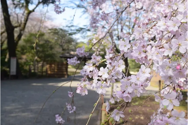 六義園
