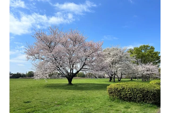 水元公園