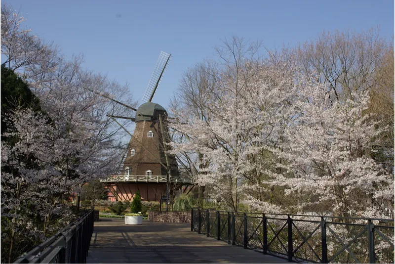 風車と桜