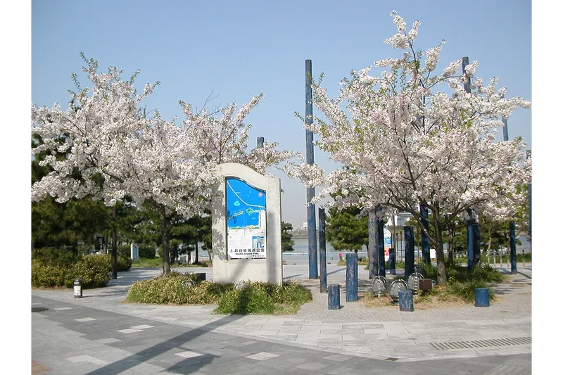 お台場海浜公園_2
