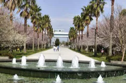 過去の様子です。