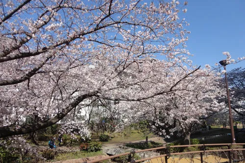 過去の様子です。