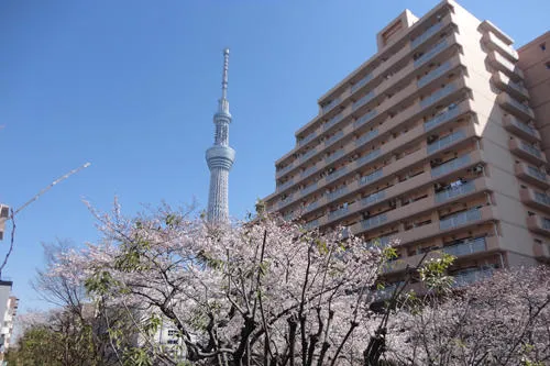 過去の様子です。