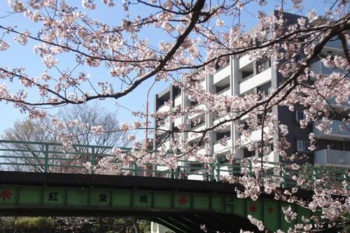 過去の様子です。