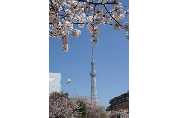 過去の様子です。
