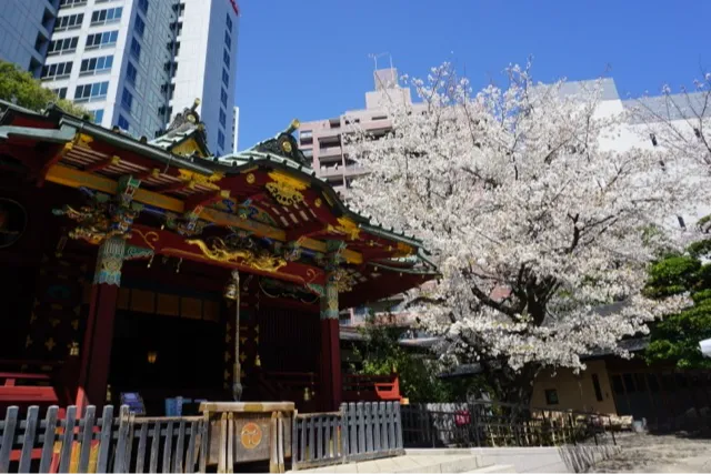 金王八幡宮_1