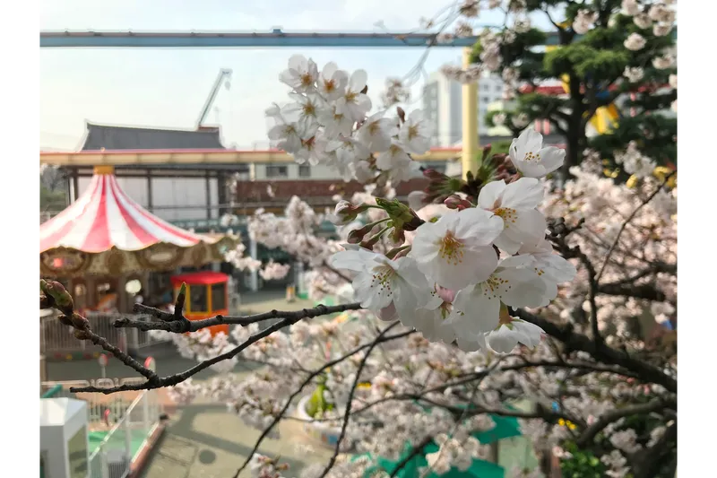 浅草花やしき_1