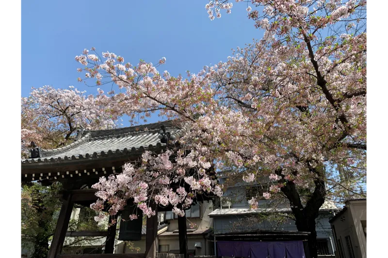 蓮馨寺_1