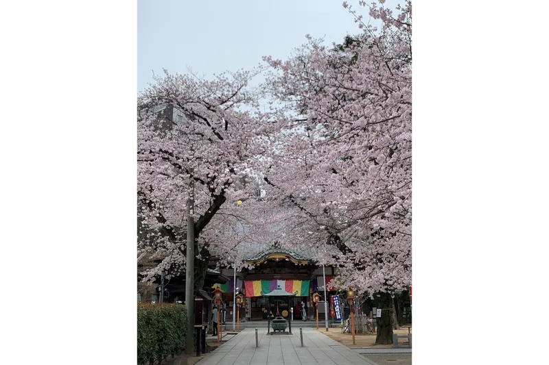 蓮馨寺_2