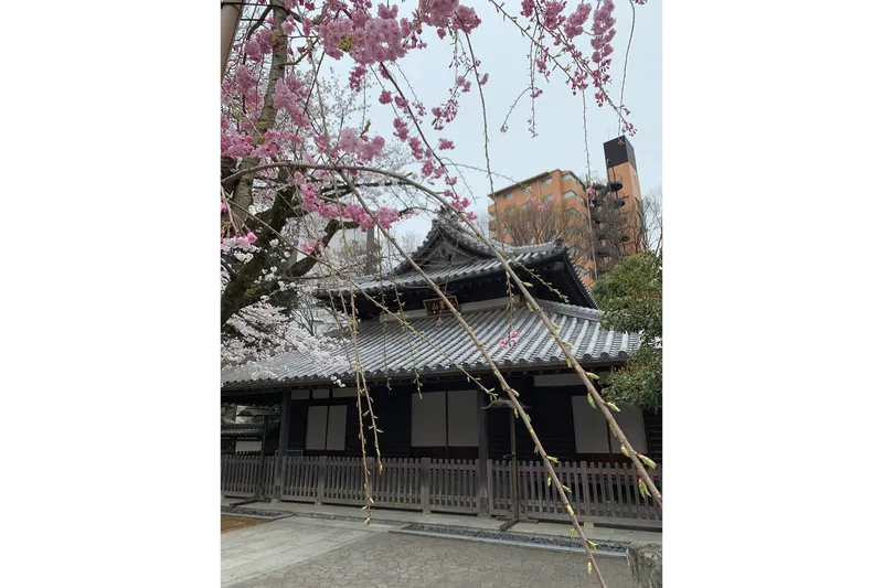 蓮馨寺_3