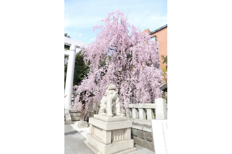 過去の様子です。