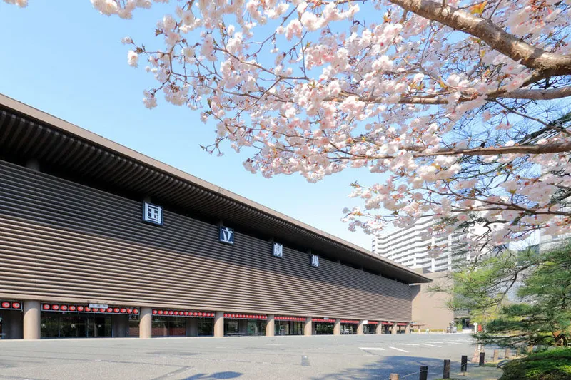 国立劇場の桜・花見情報_1