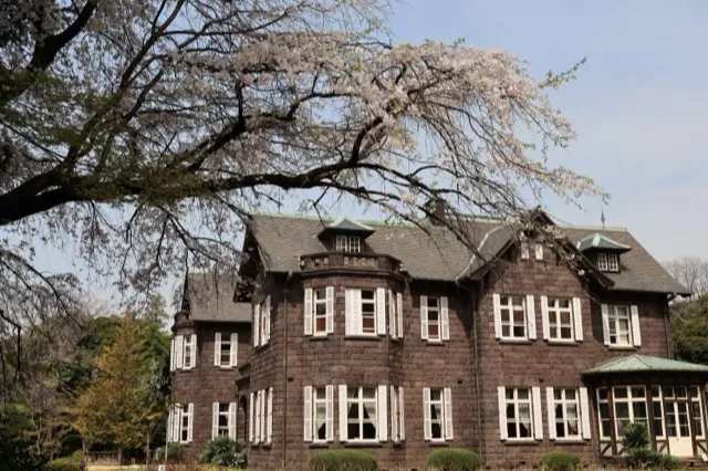 洋館とシダレザクラ