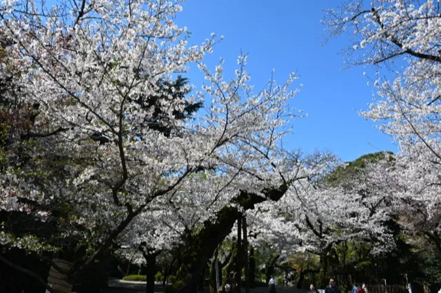 神池庭園