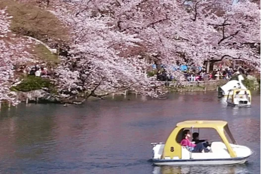 井の頭恩賜公園