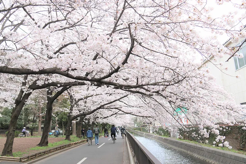 仙台堀川公園_1