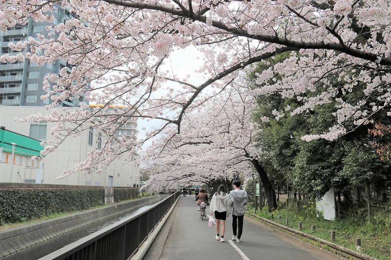 仙台堀川公園_2