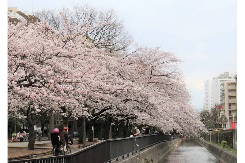 仙台堀川公園_3