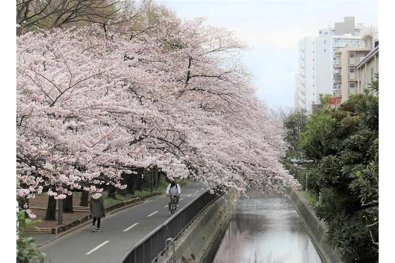 仙台堀川公園_4