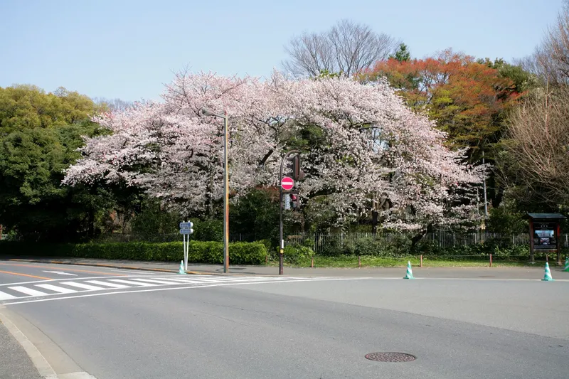 過去の様子です。