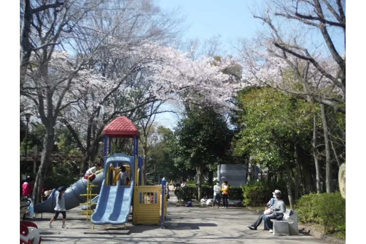 中原平和公園の桜・花見情報_3