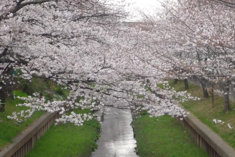 中原平和公園_1